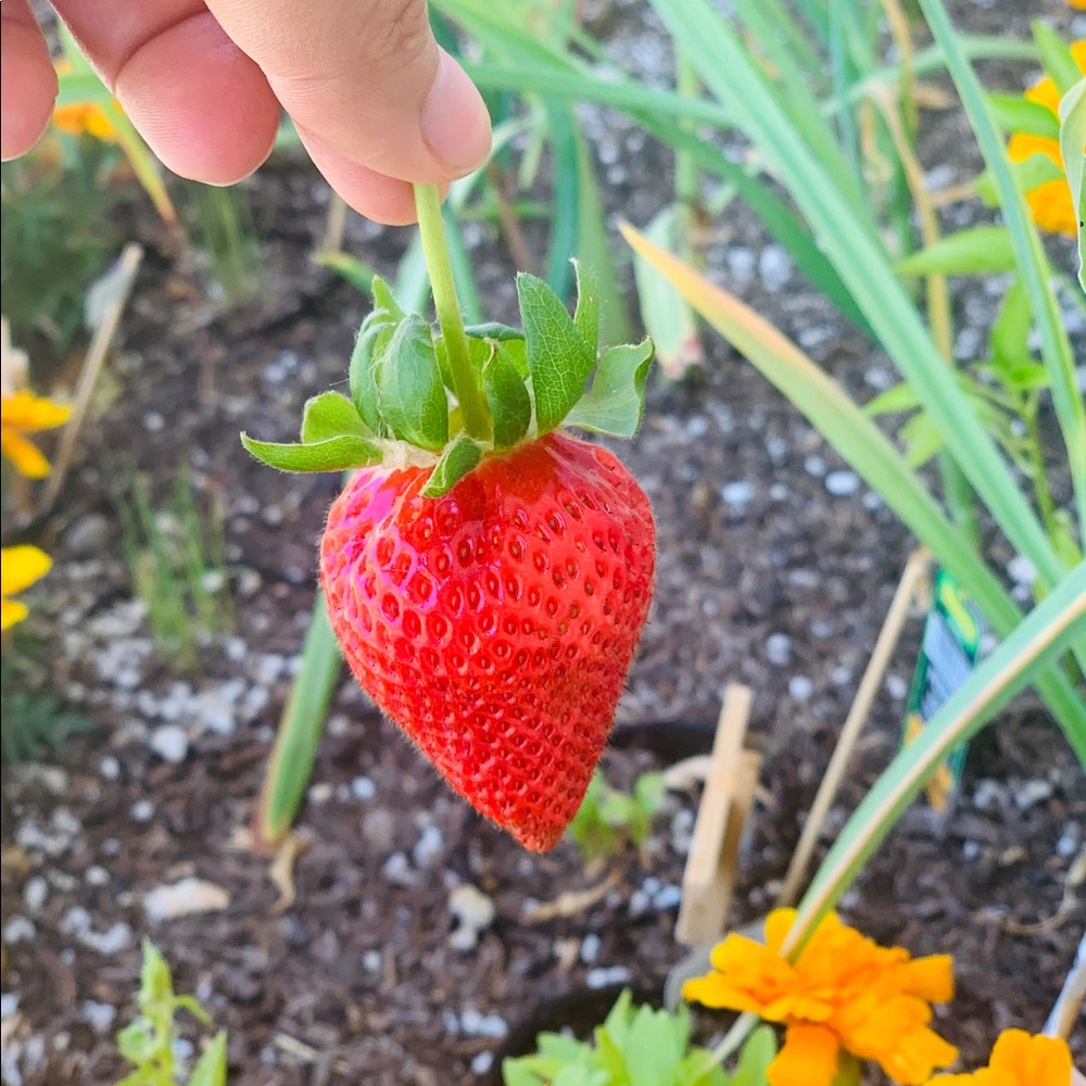 Meet your Posher, Maria